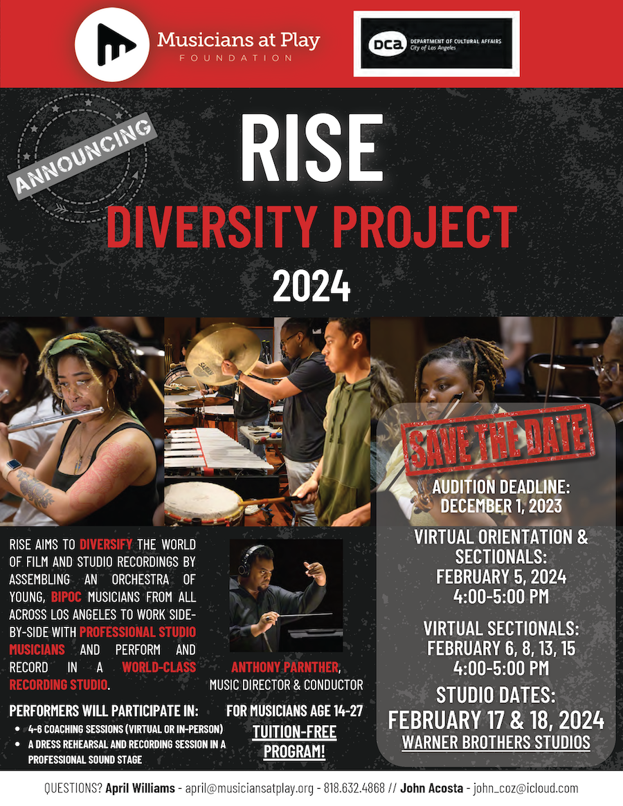 Rise Diversity Project 2024 - Musicians At Play - a non profit organization